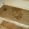 new_plywood_subfloor